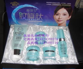 家居日用品 品質(zhì)生活的基礎(chǔ)與藝術(shù)